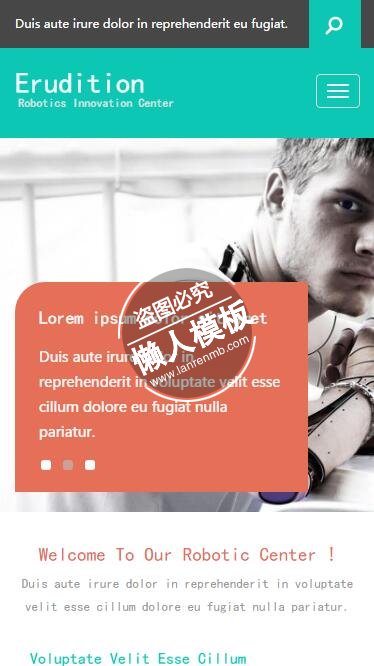 Erudition强壮机器人html5公司企业手机wap网站模板免费下载