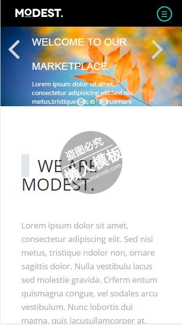 Modest极限运动计划html5公司企业手机wap网站模板免费下载
