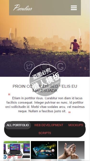 Peculiar人设公共网站开发html5公司企业手机网站模板免费下载