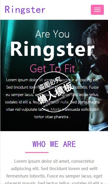 Ringster拳击选手培养html5手机wap体育网站模板免费下载