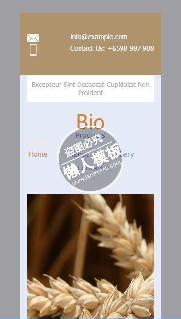 Bio Products褐色风格单页html5手机邮件网站模板免费制作下载