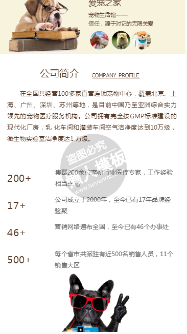 宠物之家手机PC端自适应响应式html5宠物网站双模板下载