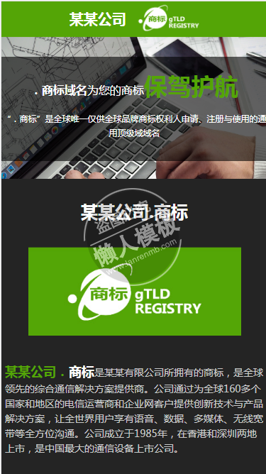 tld科技公司网站自适应响应式企业网站双模板下载