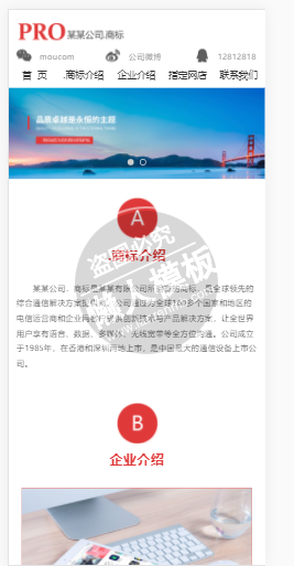 PRO网络公司自适应响应式企业网站双模版下载