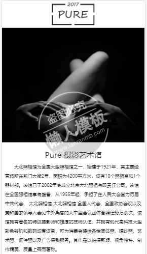 pure艺术商城自适应响应式摄影网站双模板下载