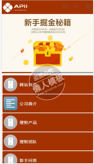 APII投资理财公司金融网站模板免费下载