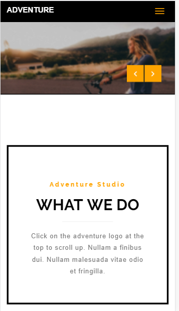 Adventure软件设计培训机构企业网站模板免费下载