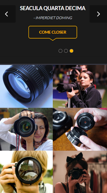 爱摄影自适应响应式网站模板素材免费下载