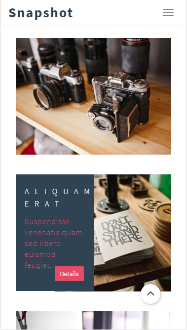 snapshot摄影工作室自适应响应式网站模板素材免费下载
