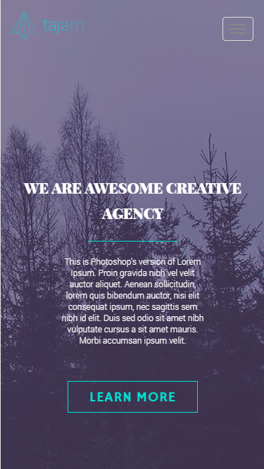 tajam梦幻紫摄影工作室自适应响应式网站模板素材免费下载