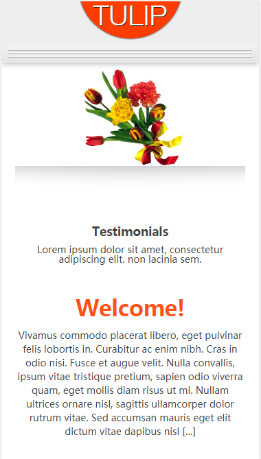 tulip鲜花类网站自适应响应式网站模板素材免费下载