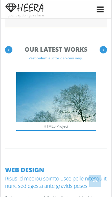 Heera新闻博客日志类自适应响应式网站模板素材免费下载