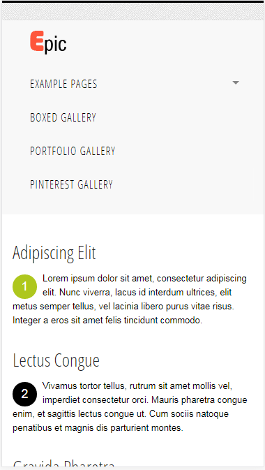 epic专业摄影新闻类自适应响应式网站模板素材免费下载