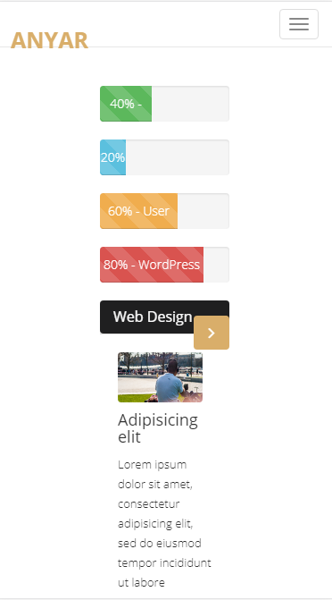 anyar技术门户类自适应响应式网站模板素材免费下载