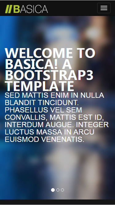 BASICA专业摄影自适应响应式网站模板素材免费下载
