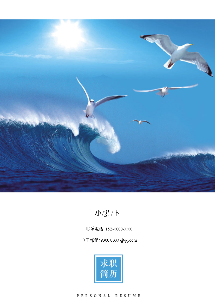 大海海鸥封面多页式罗列式人力资源简历模板免费下载