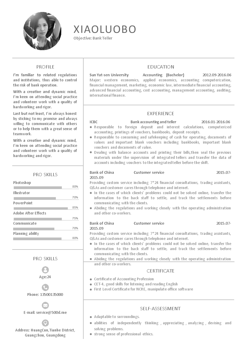 灰色方框式单页式财务会计英文简历模板免费下载