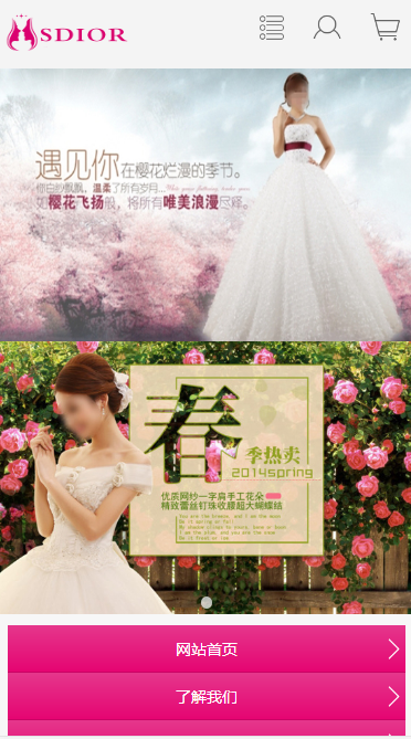 圣奥国际婚纱摄影公司自适应响应式网站模板素材免费下载