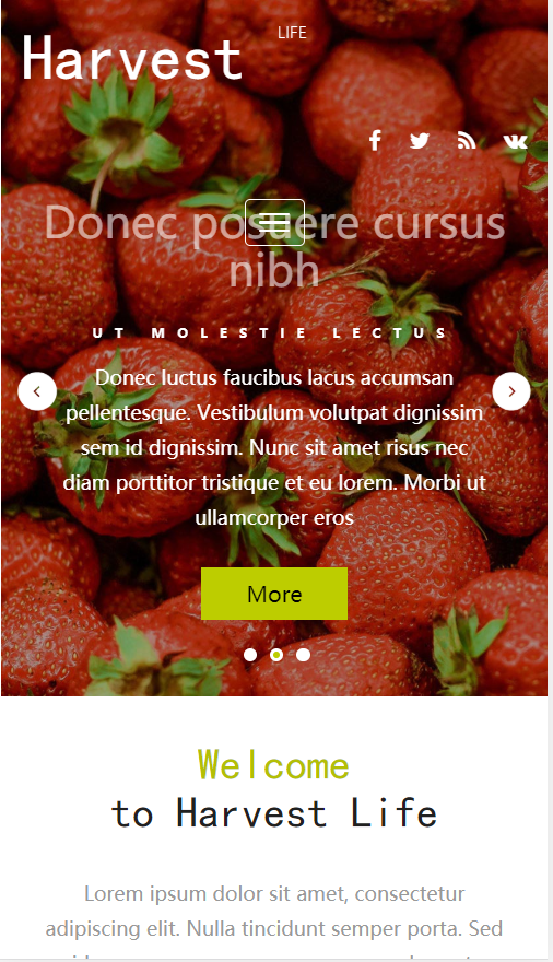 Harvest水果销售展示网站自适应响应式农业网站模板免费下载