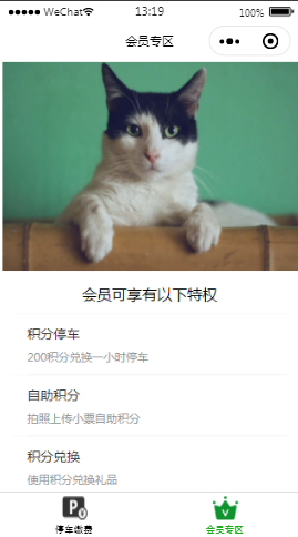 商业广场会员中心页样式布局小程序模板源码免费下载