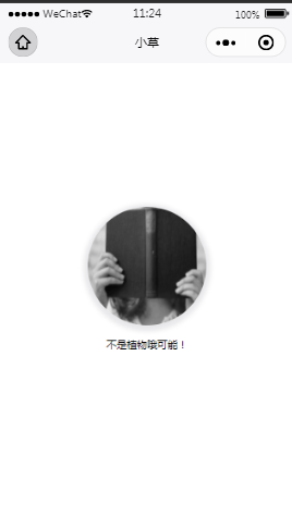 小草图片识别器判断植物内容页样式布局小程序模板源码免费下载