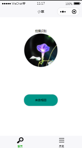 小草图片识别器首页样式布局小程序模板源码免费下载