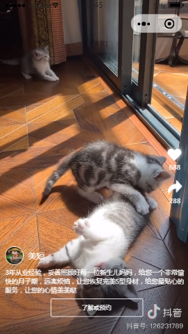 抖音短视频首页样式布局小程序模板源码免费下载