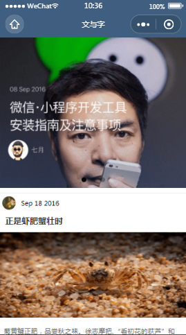 文与字首页样式布局小程序模板源码免费下载