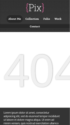 皮克斯摄影404内容页html5自适应响应式企业网站模板免费下载