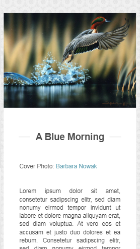 扎瓦达详情页html5自适应响应式企业网站模板免费下载