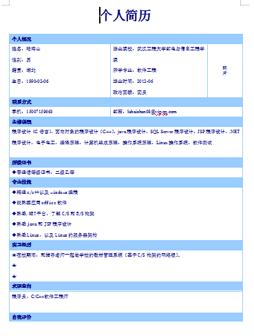 蓝色软件工程类分区简历空白简历模板免费下载