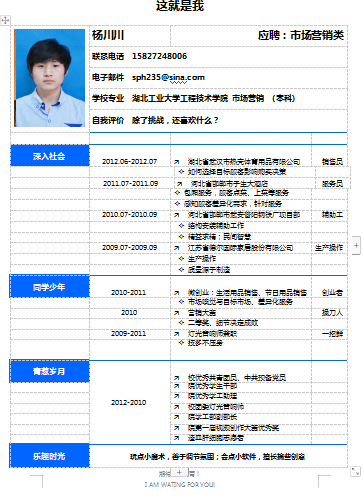 蓝色市场营销小分区简历空白简历模板免费下载