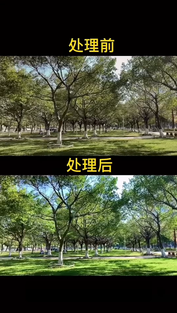 短视频剪辑教程-实战篇 拍风景发布后视频清晰度变差解决