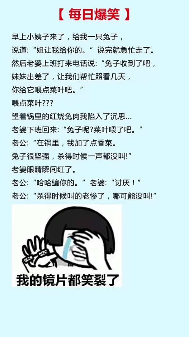 兔子很坚强动画文字搞笑竖屏无水印短视频素材免费下载