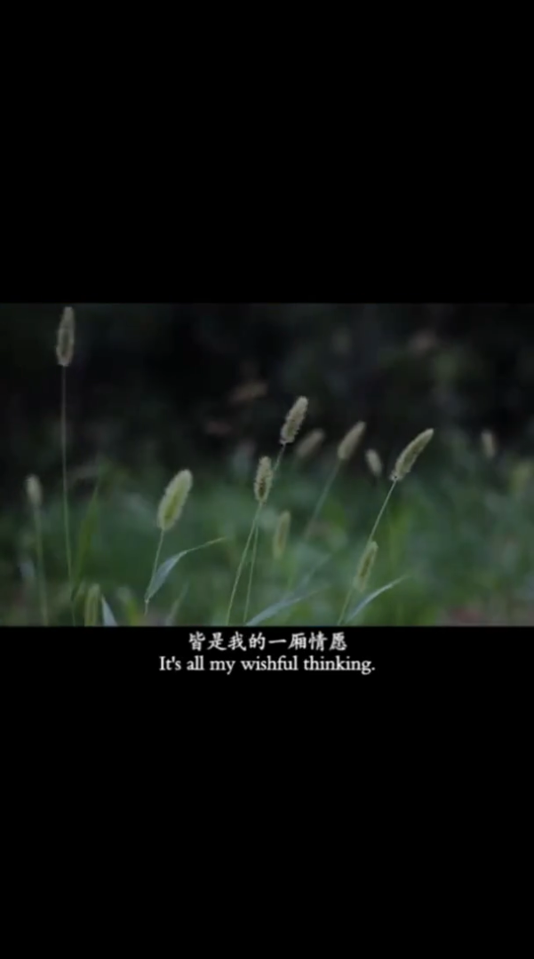 我的一厢情愿 正能量励志情感横屏无水印短视频素材免费下载