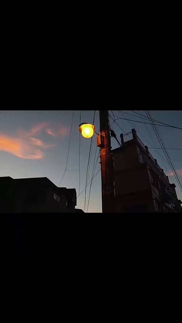 我们不后悔正能量励志情感横屏无水印短视频素材免费下载