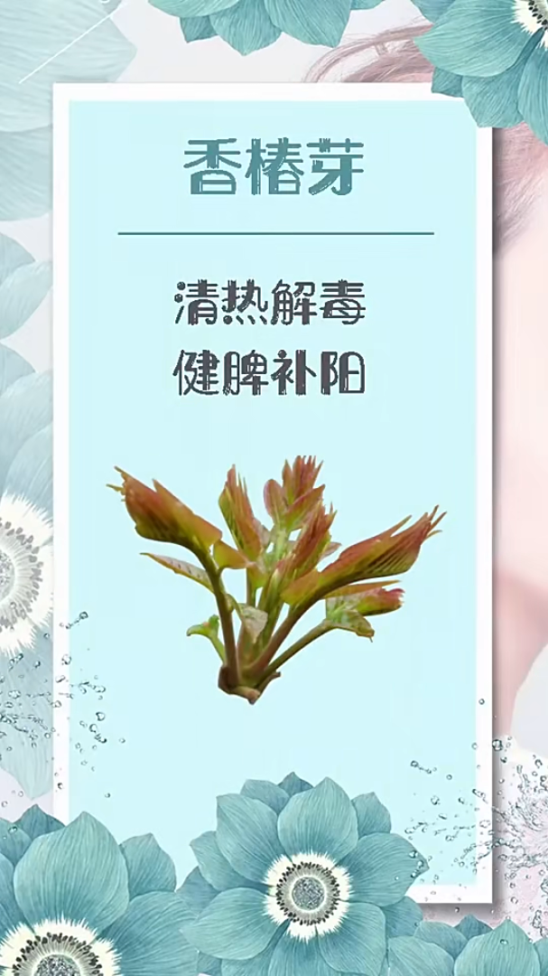 春季养身必吃健康养身生活科普竖屏无水印短视频素材免费下载