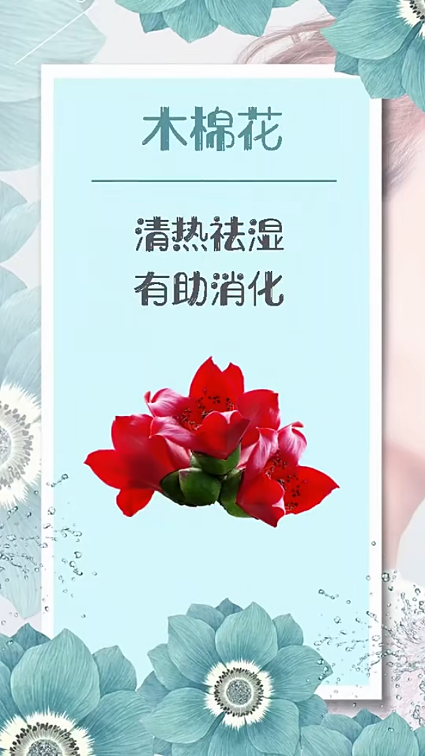春季养身必吃健康养身生活科普竖屏无水印短视频素材免费下载
