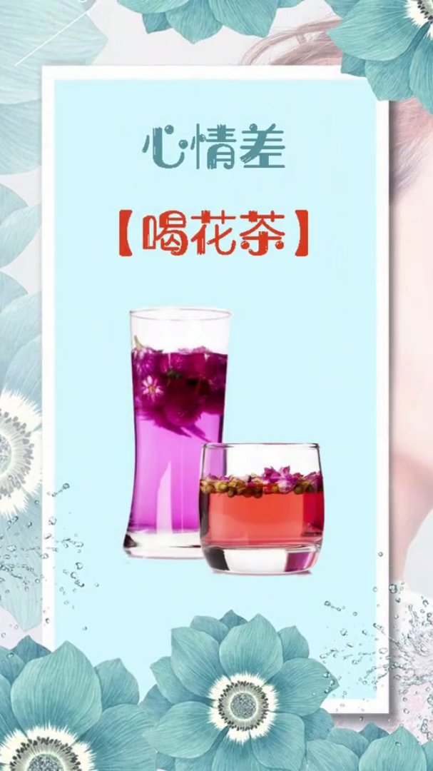 不同人喝茶不同健康养身生活科普竖屏无水印短视频素材免费下载