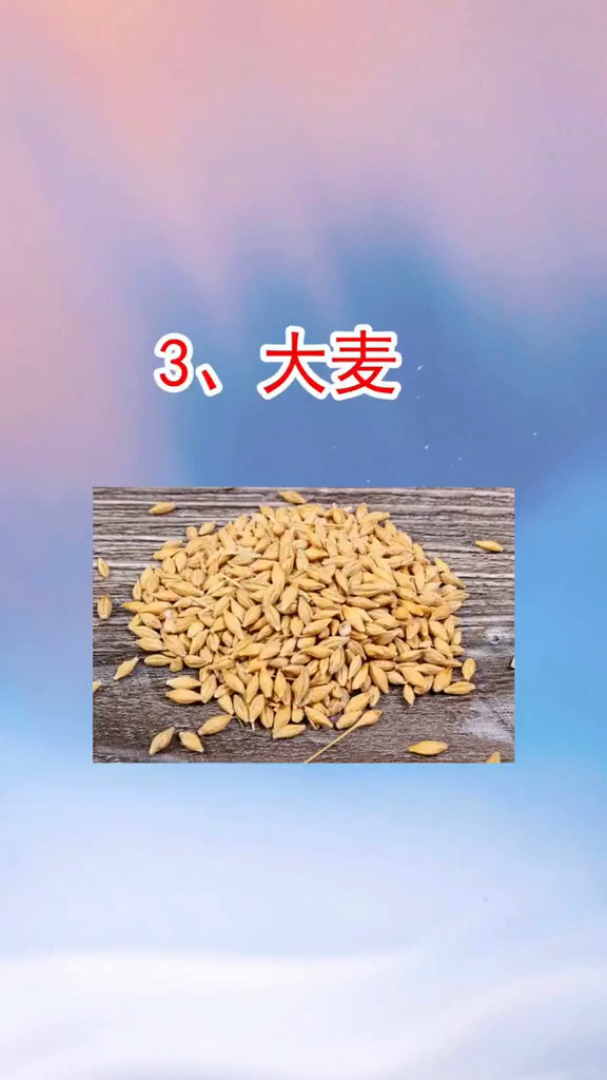 脾胃虚弱百病生健康养身生活科普竖屏无水印短视频素材免费下载