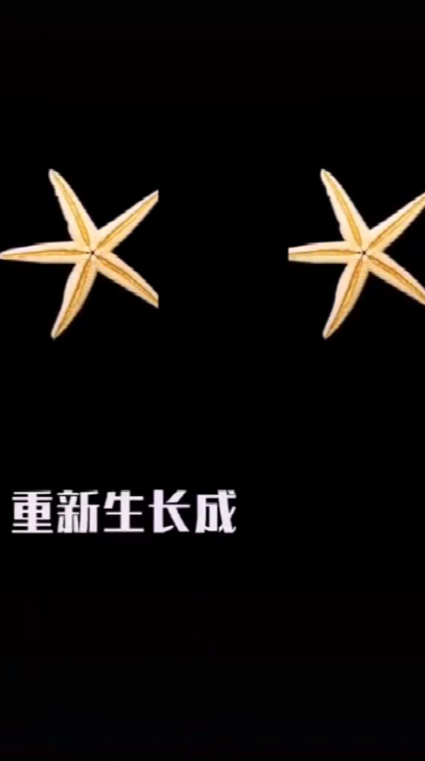 以大化小模式手写动画商业营销竖屏无水印短视频素材免费下载