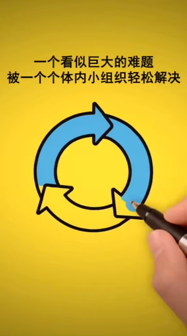 以大化小模式手写动画商业营销竖屏无水印短视频素材免费下载