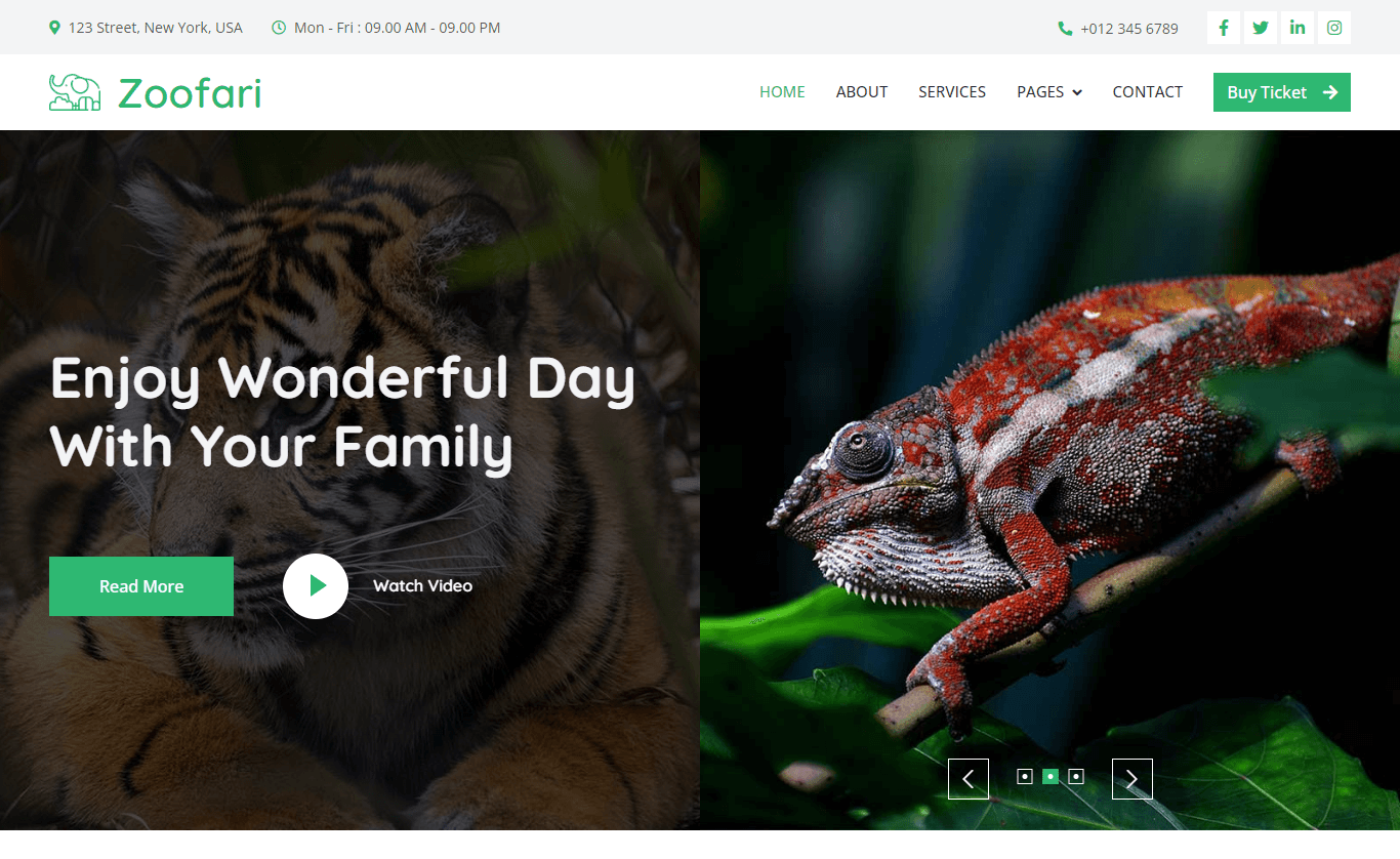 免费Bootstrap可爱布局吸引字体野生动物网站模板响应式CSS3自适应HTML5网站模板免费下载